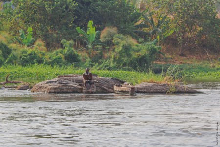 Pescador